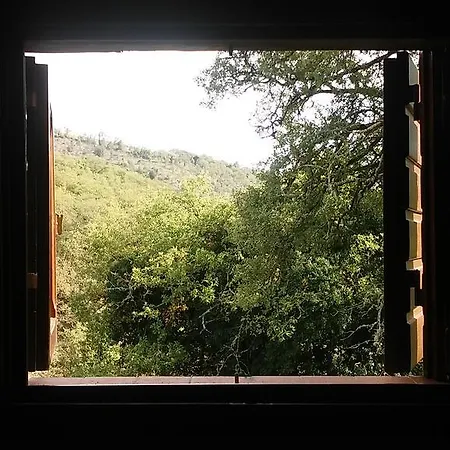 Agriturismo Il Cerreto Farm stay *